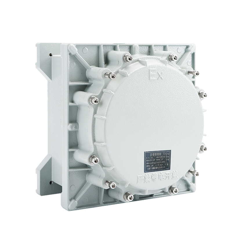 Explosion-Proof Junction Box – Flameproof IIC