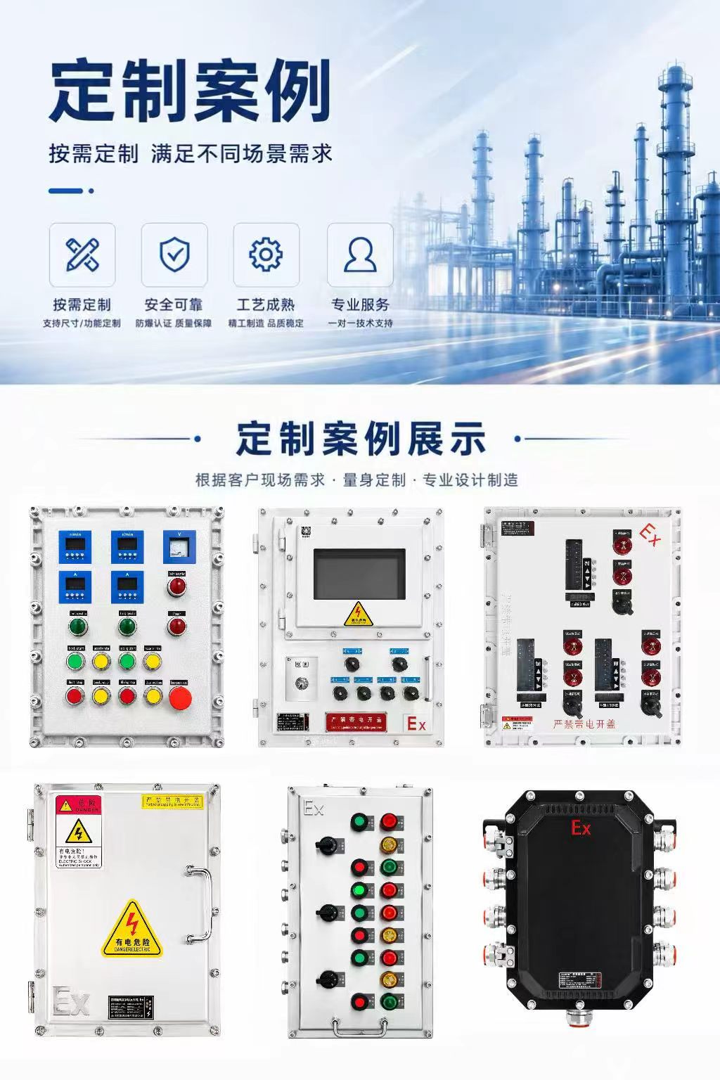 Explosion-Proof Junction Box – Flameproof IIB detail 2