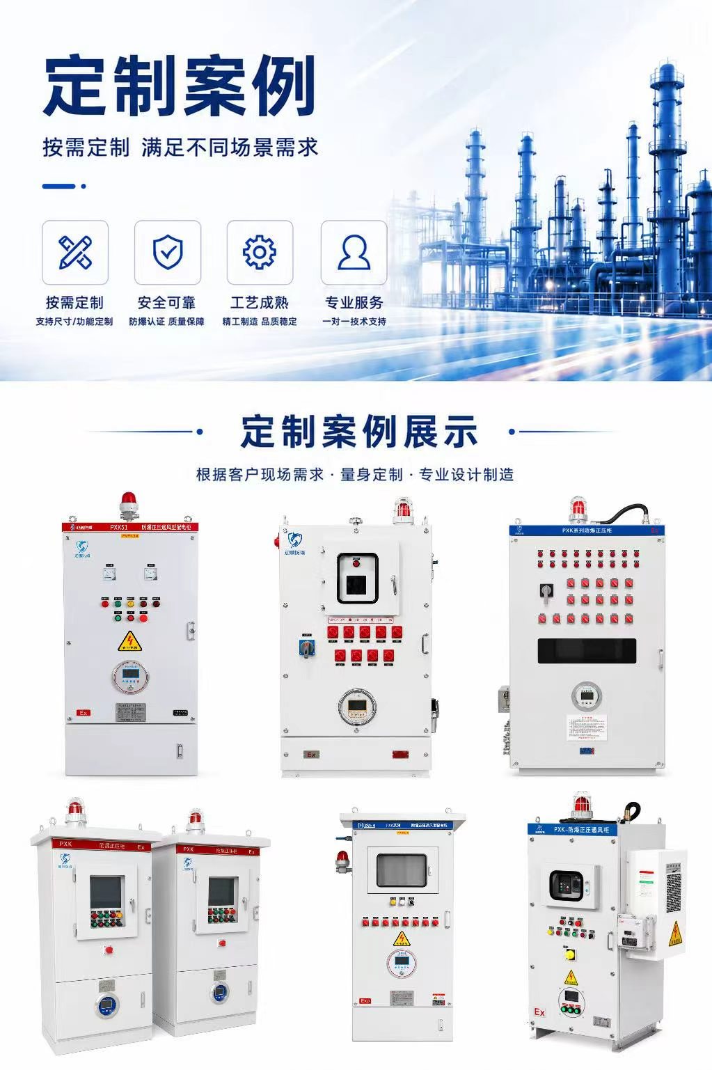 Explosion-Proof Pressurized Cabinet – Carbon Steel detail 3