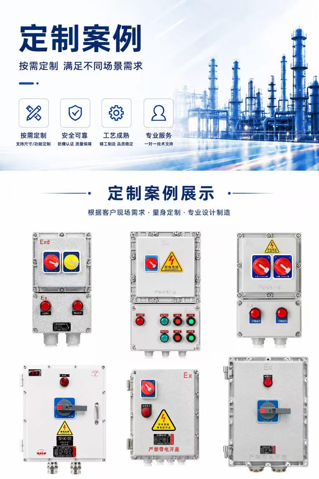 Explosion-Proof Circuit Breaker Enclosure detail 2