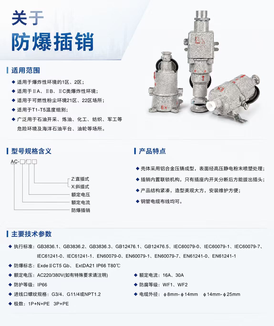 Explosion-Proof Interlocked Plug and Socket detail 1