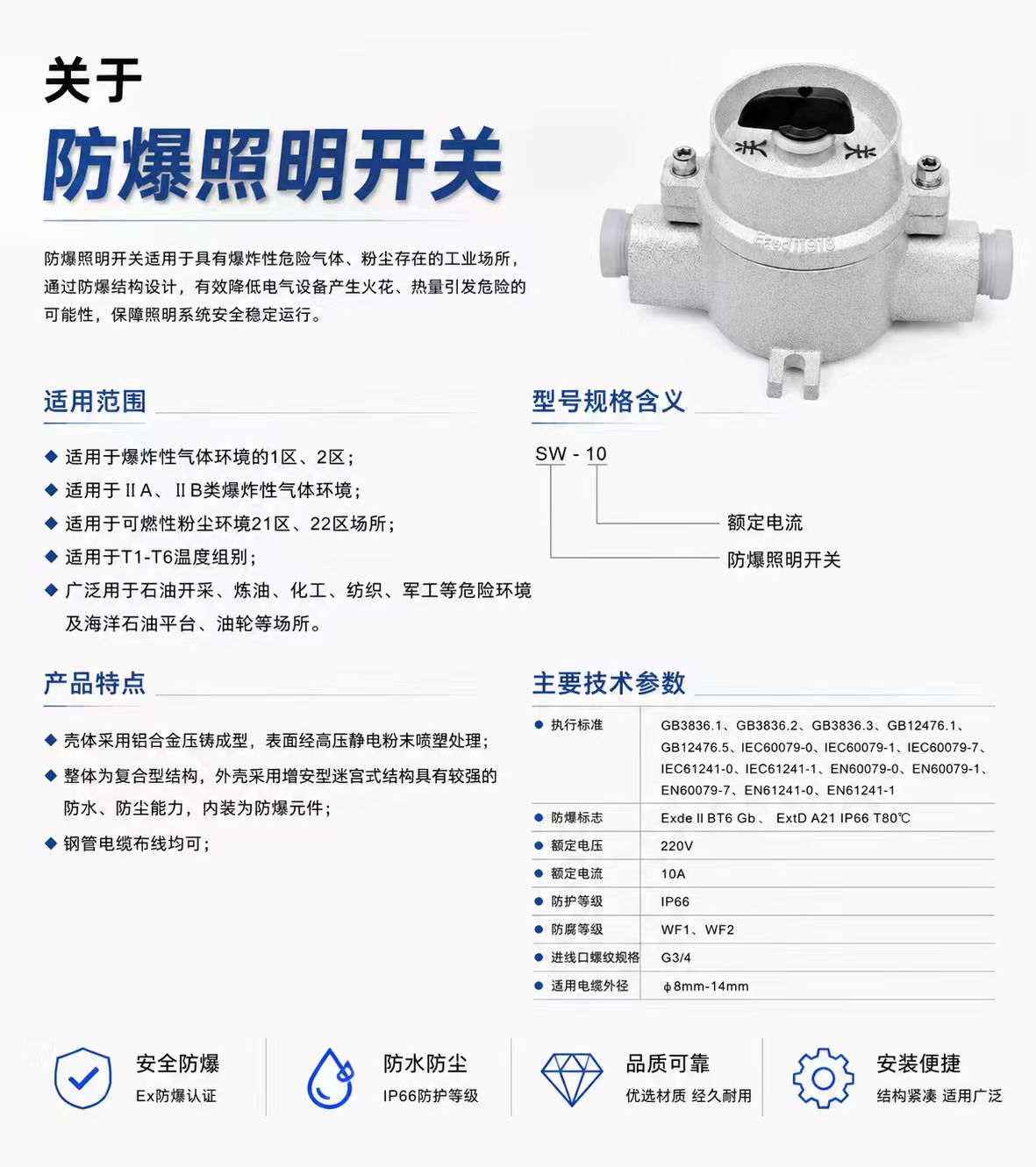 Explosion-Proof Lighting Switch detail 1