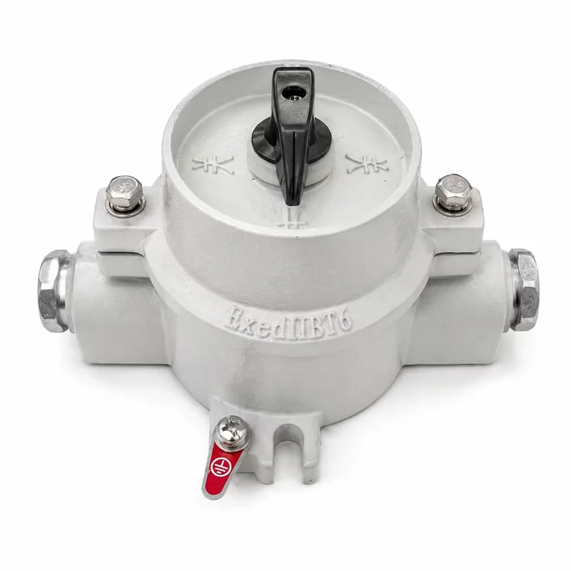Explosion-Proof Lighting Switch